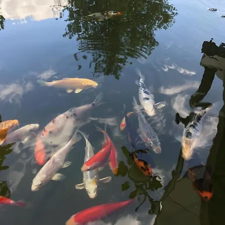 Khuki Apartmán Lipsko