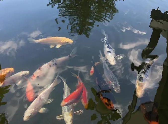 Khuki Apartment Leipzig